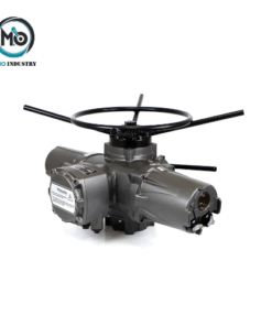 HM-100