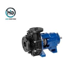 NZRP 50125 TBG V1L Antico