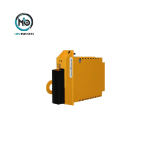 BM5-O-SAF-001-000 Baumuller Reparaturwerk