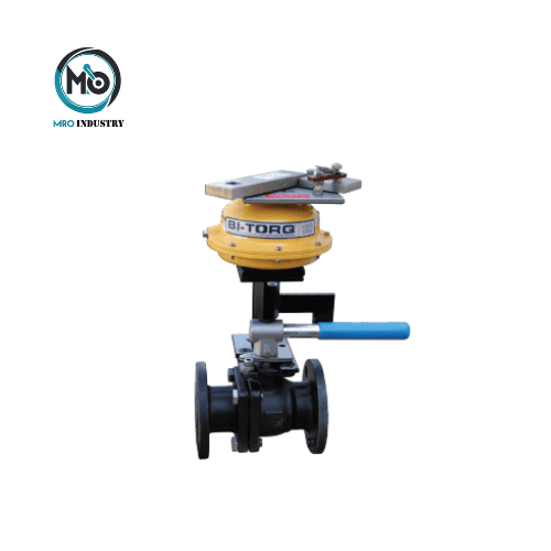 FLP-MT-079-XXX-012-W50 Strahman Group